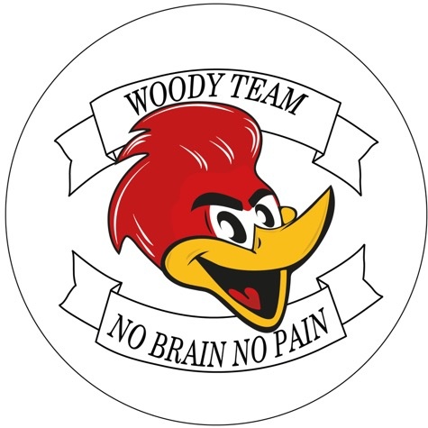 Woody_rider (Вуди райдер) @woody_rider