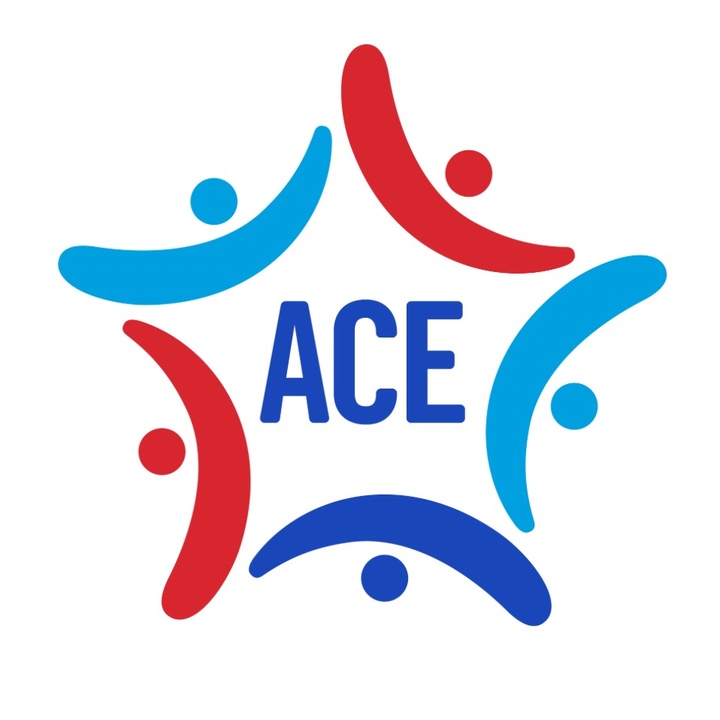ACE Group @acegroupsg