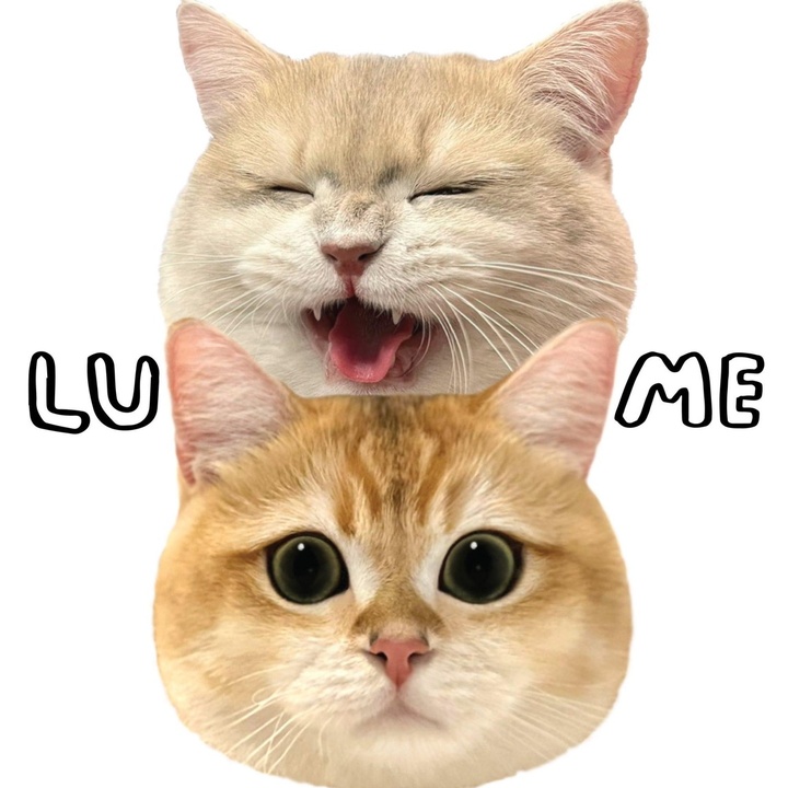 Lunettes_the_cat @lunettesthecat