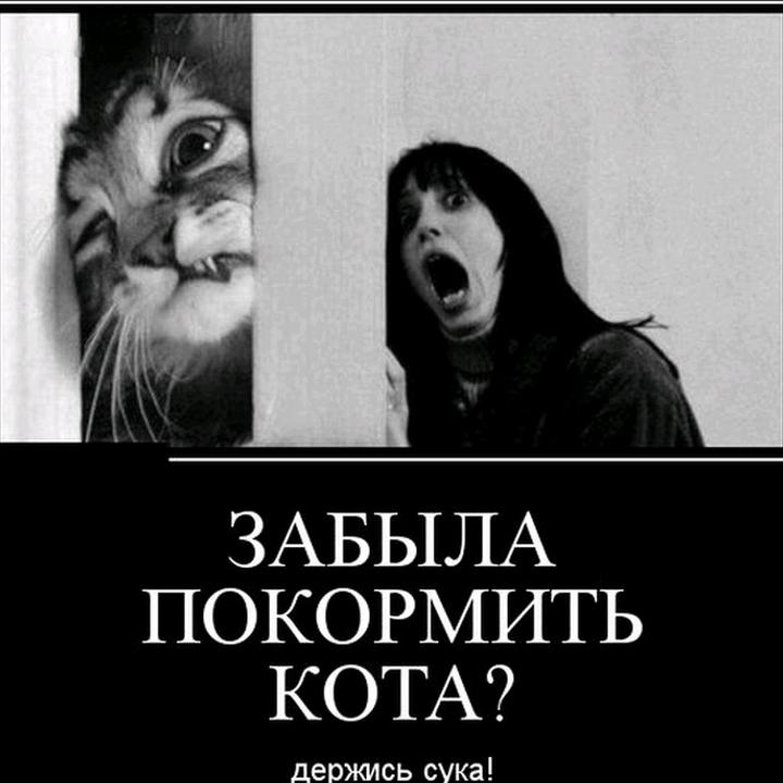 Пришел Покормить Кота Порно