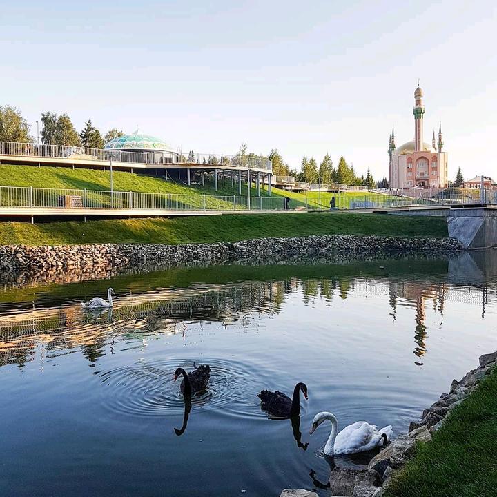 Каскад прудов Альметьевск. Лебеди в Альметьевске. Парк Каскад Альметьевск. Альметьевск Каскад прудов кафе.