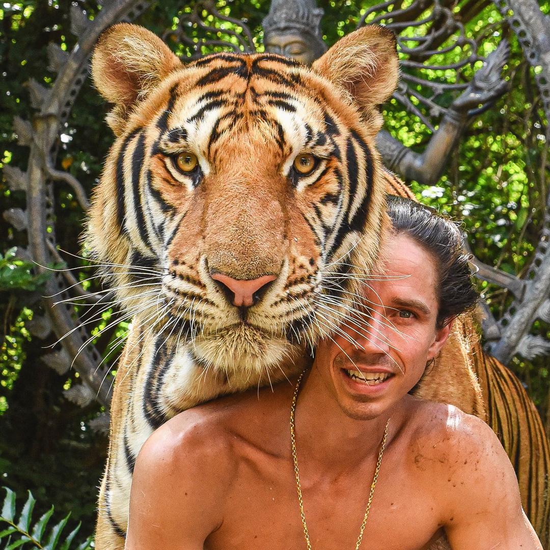 Brother of Tigers