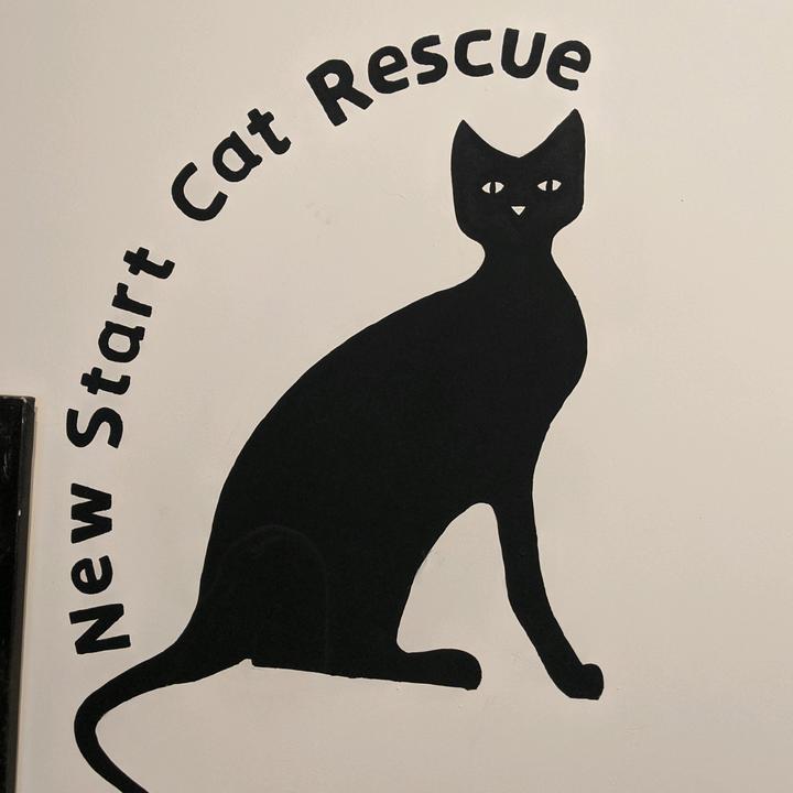 newstart cat rescue