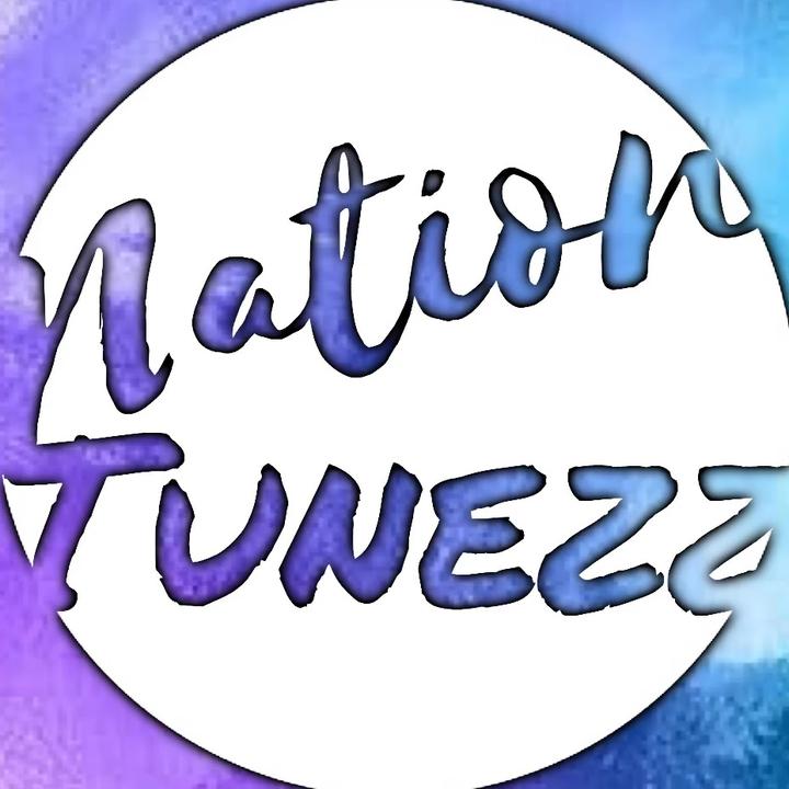 nationtunezz - Firework