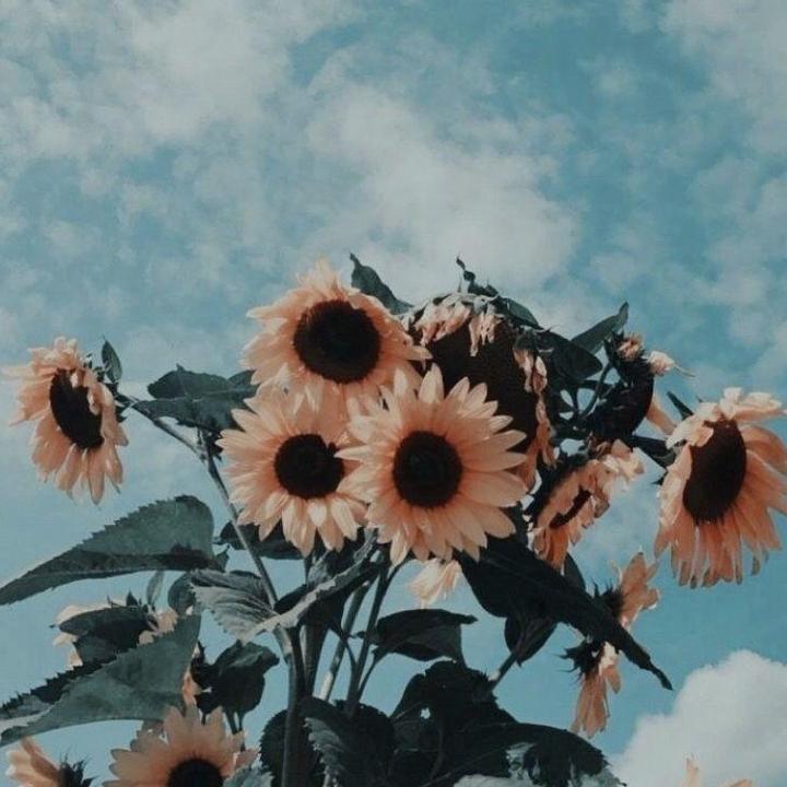 Vspresets Created By Vspresets Popular Songs On Tiktok