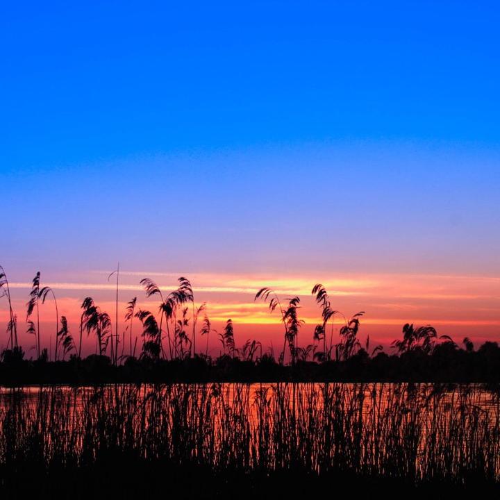 Orange sunset andy