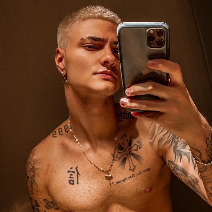 Davi Kneip Davikneip Tiktok Analytics Profile Videos Hashtags Exolyt