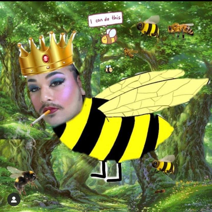 👑 The queen bee 👑 on TikTok.