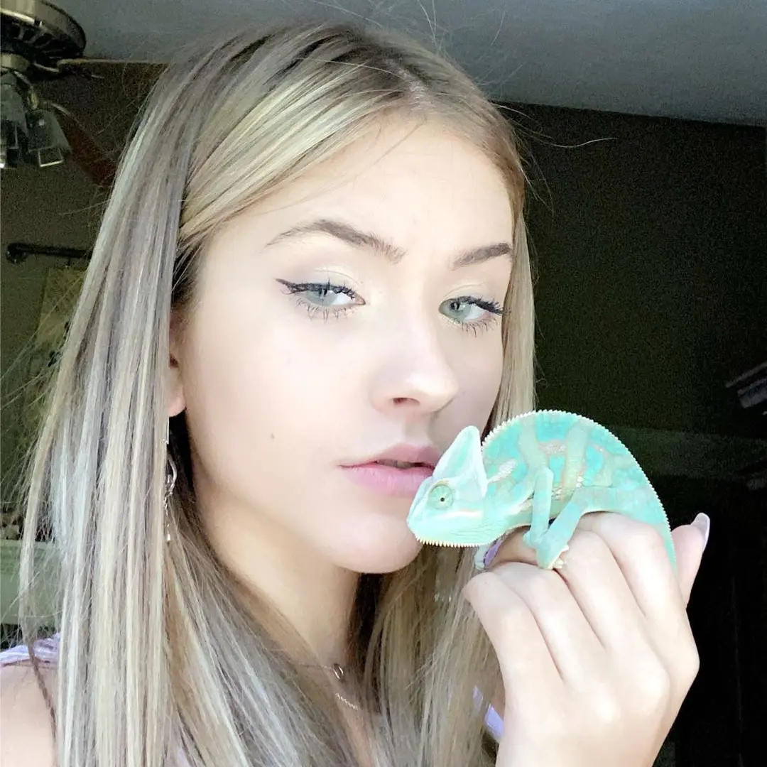 Lexi hall tiktok