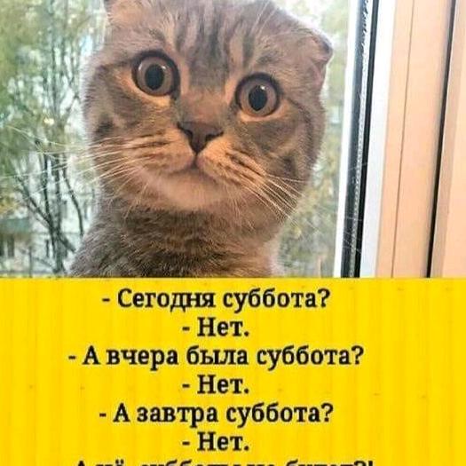 Песня скляра суббота есть суббота. Суббота есть суббота. Суббота есть суббота и никаких. Суббота есть суббота и никаких забот картинки. Песня суббота есть суббота и никаких забот.