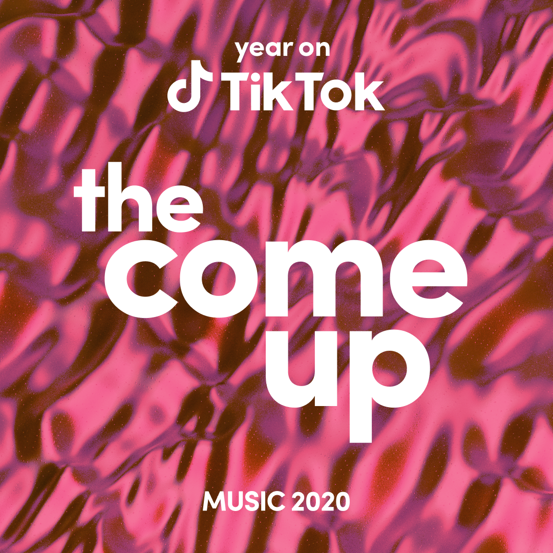 Year on TikTok: Music 2020 - EU-Vietnam Business Network (EVBN)