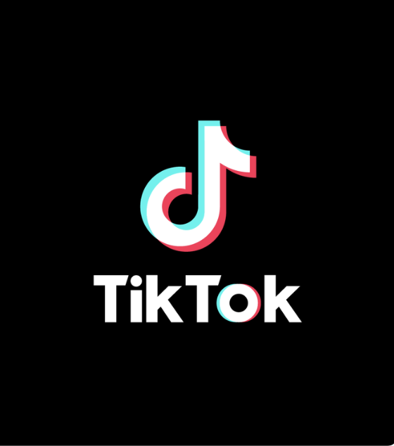 TikTok Embed – Documentation –
