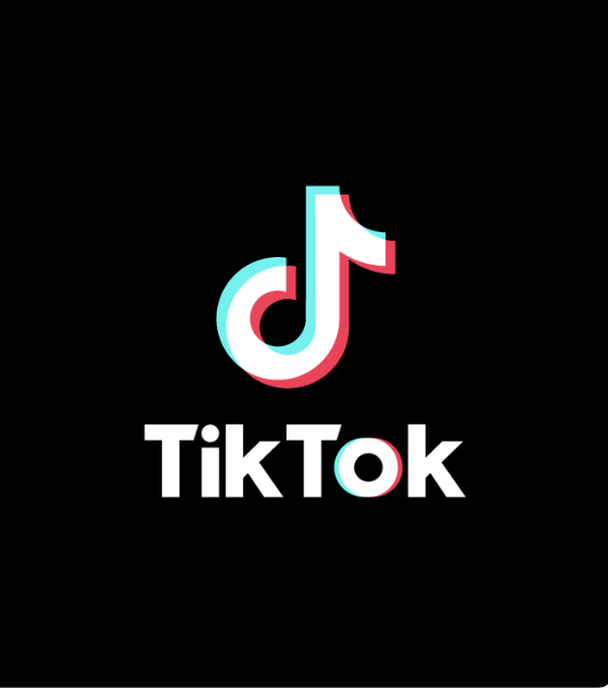 🤡  TikTok