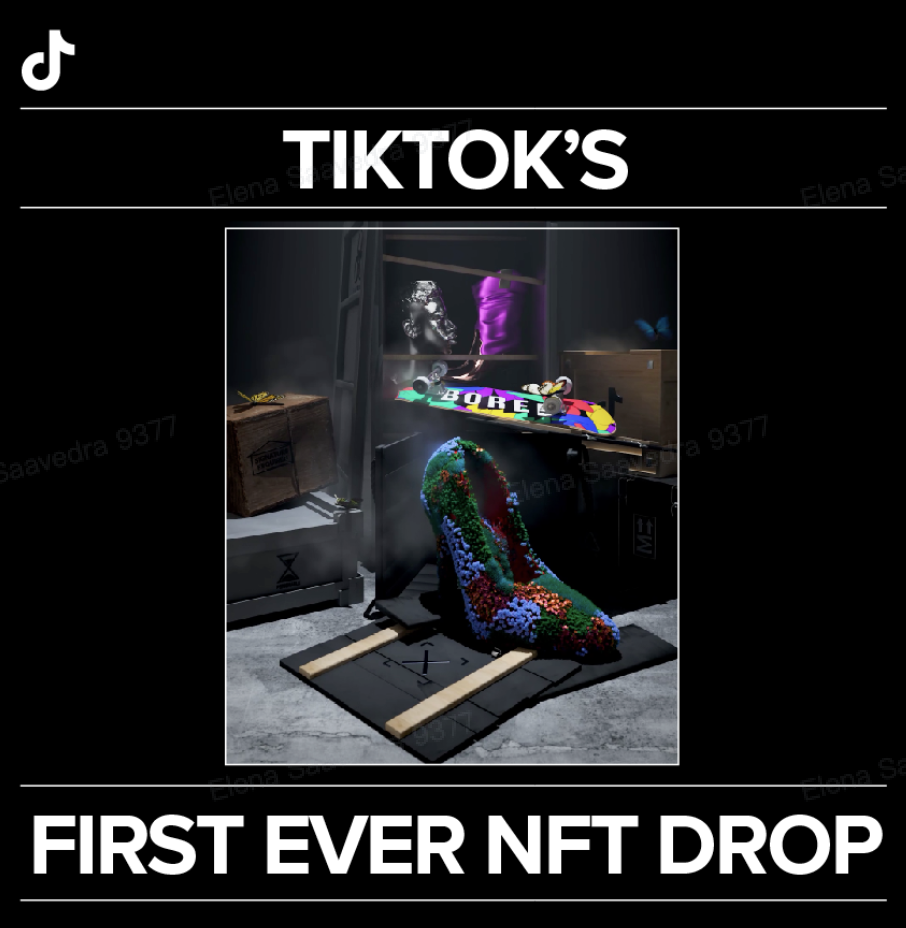 TikTok launches first creator-led NFT collection