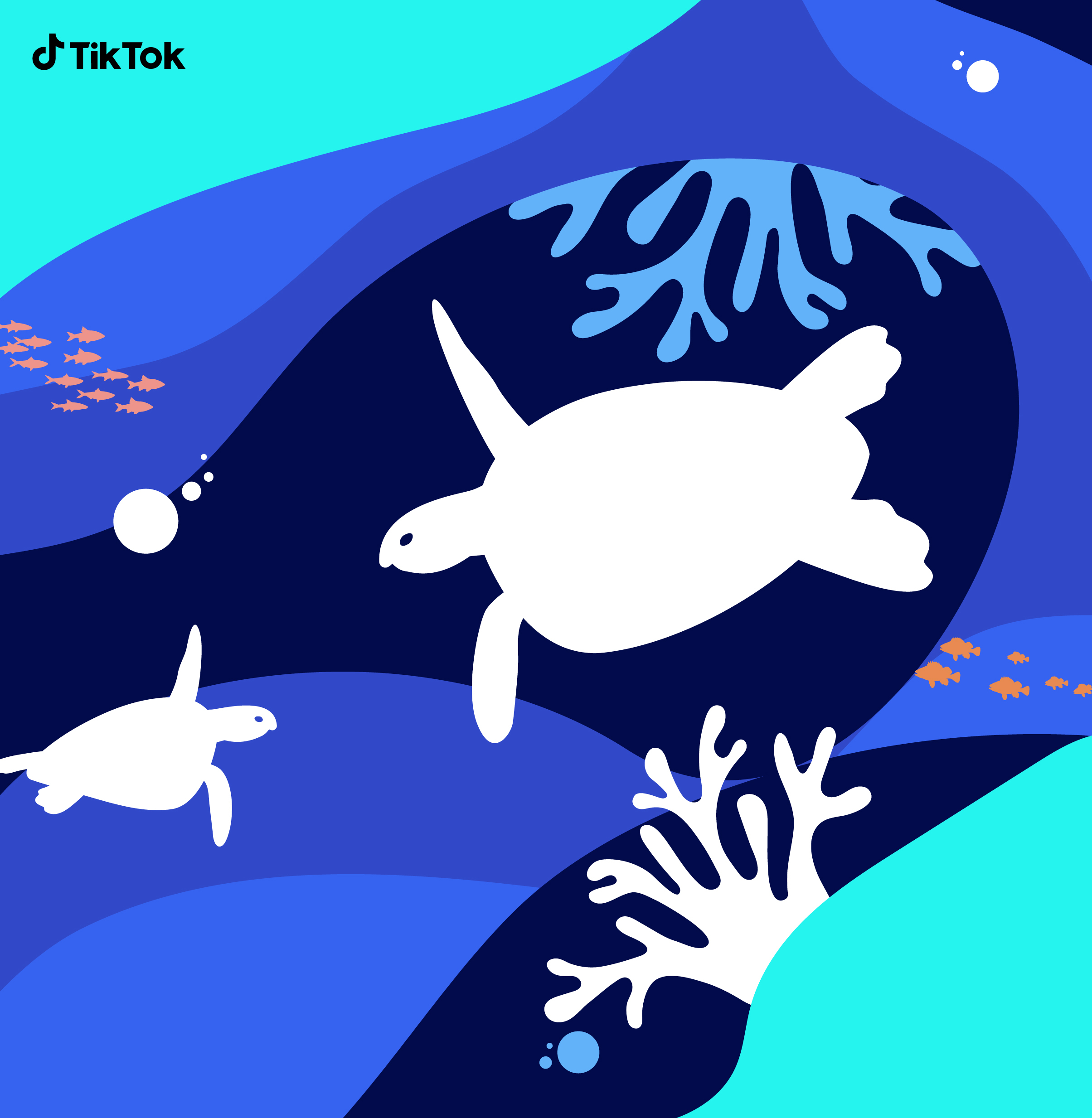 turtle tent｜TikTok Search