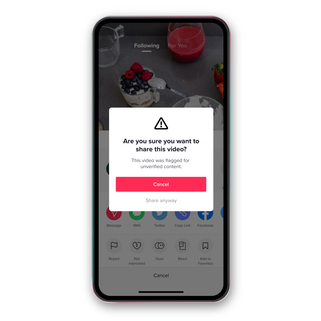 TikTok Know the Facts mock-up on a phone screen, asking the user if they are sure they want to share an unverified video.