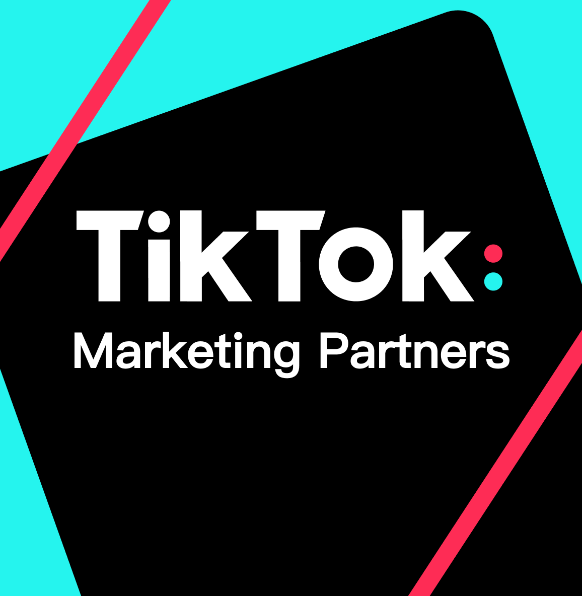 introducing-tiktok-s-marketing-partner-program-for-advertisers-tiktok