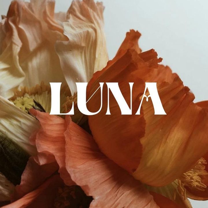 The LUNA @theluna.sg