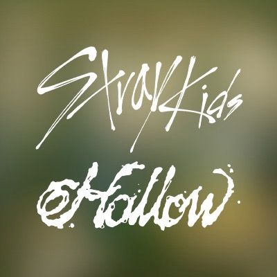 straykids_japan @straykids_japan