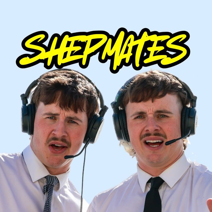 shepmates @shepmates