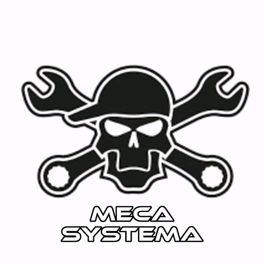 meca systema @meca_systema