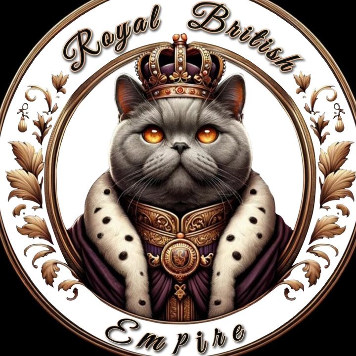 Royalbritishempire @royal.british.empire