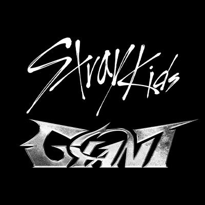 straykids_japan @straykids_japan