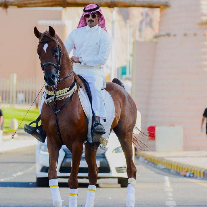 ثـامر الشـلاش 🐎🤎. @t.ahmr