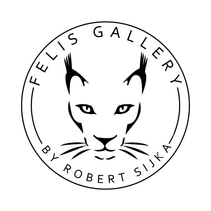 Felis Gallery by Robert Sijka @robert_sijka