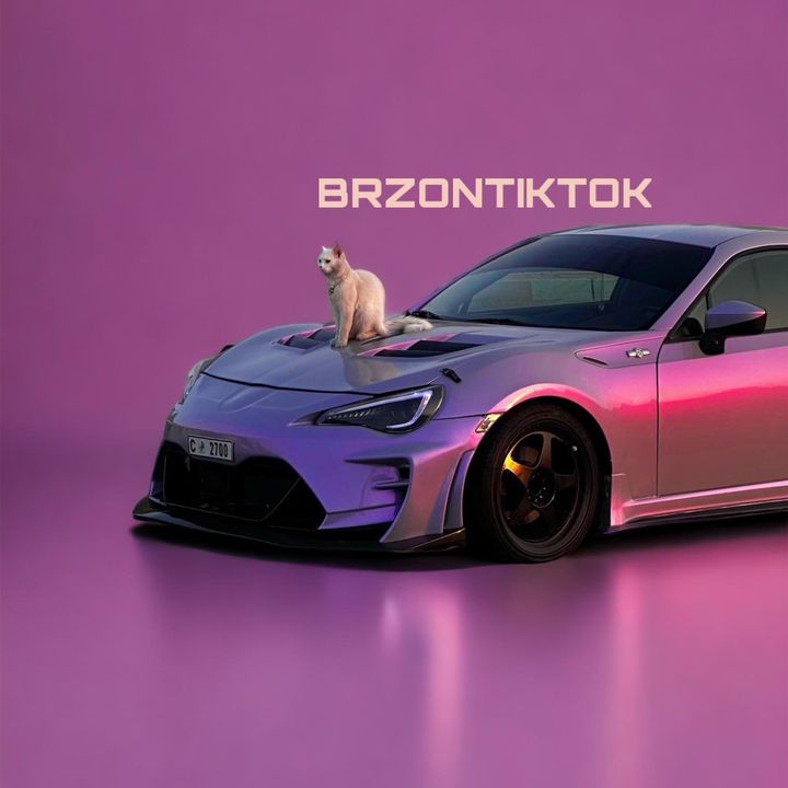 brz @brz