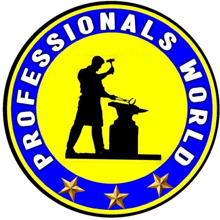 Professionals @professionals_world_01