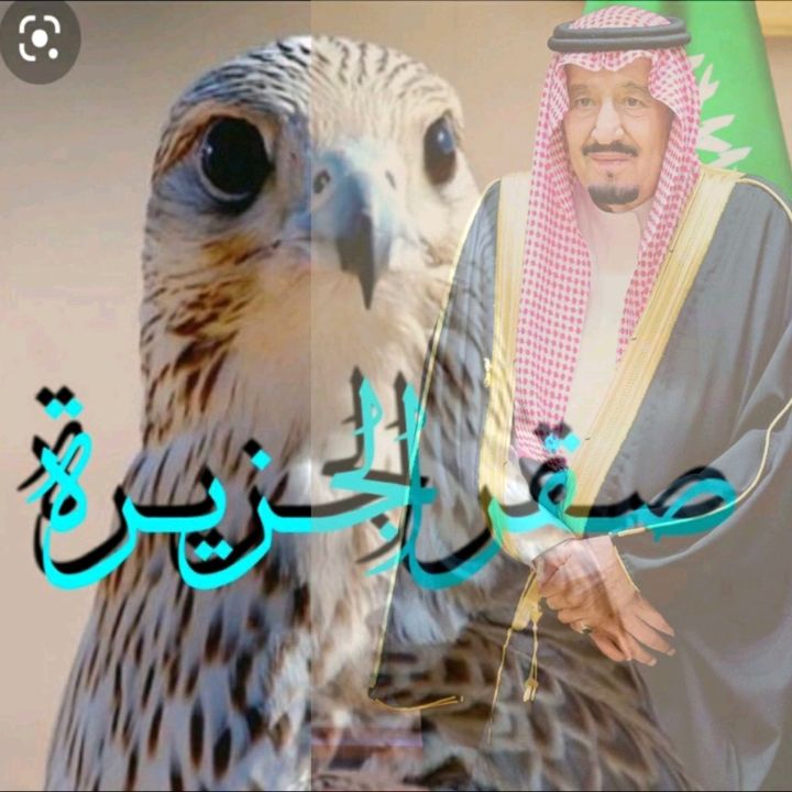 صقر الجزيرة 🦅 @saqr.aljazyrah