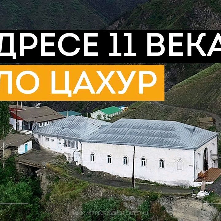 ЙИШТА  ЧОДЖ.YİŞTA  SAXUR   ÇOC @denismaksimov60