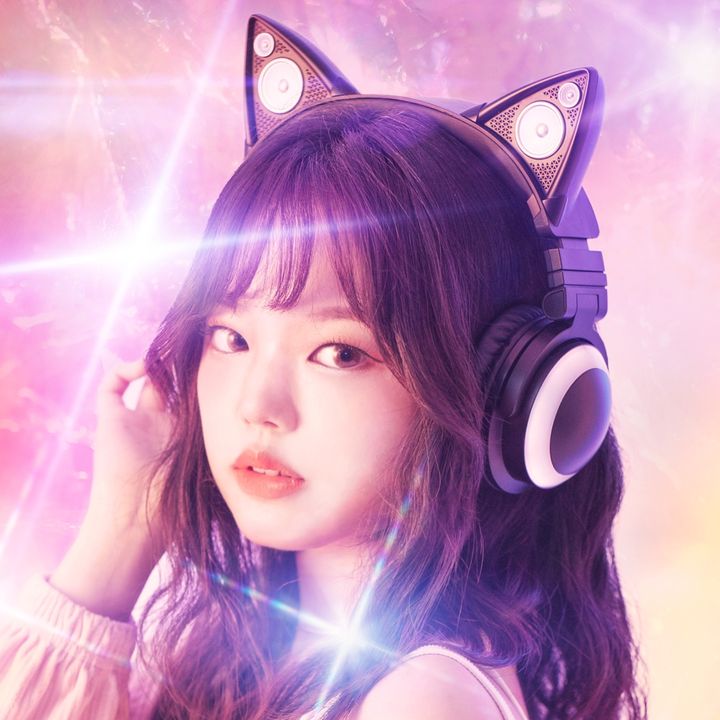 이노냥 ino Cat @ino_city