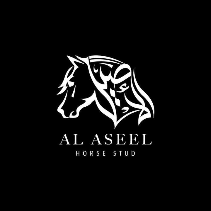 الأصيل @alaseel.stud