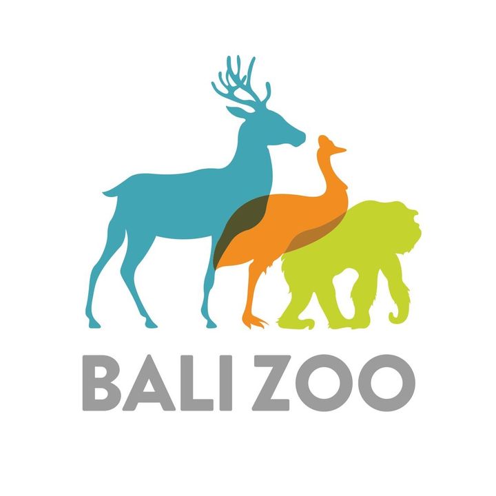 balizoo @balizoo