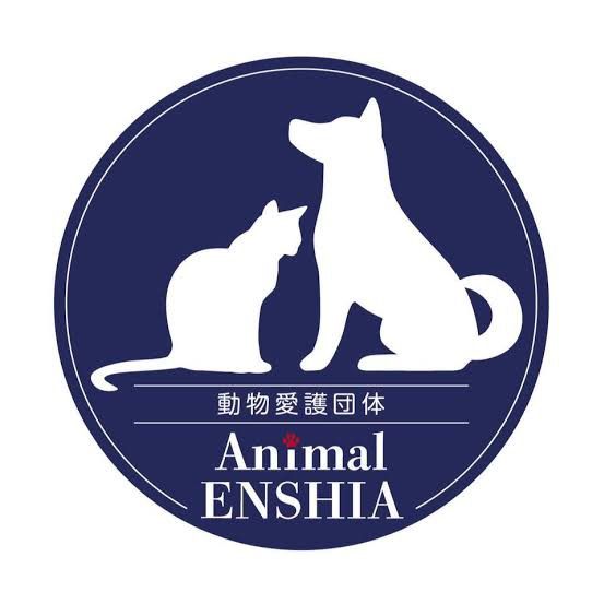 動物愛護団体 @i_am_animal_1111