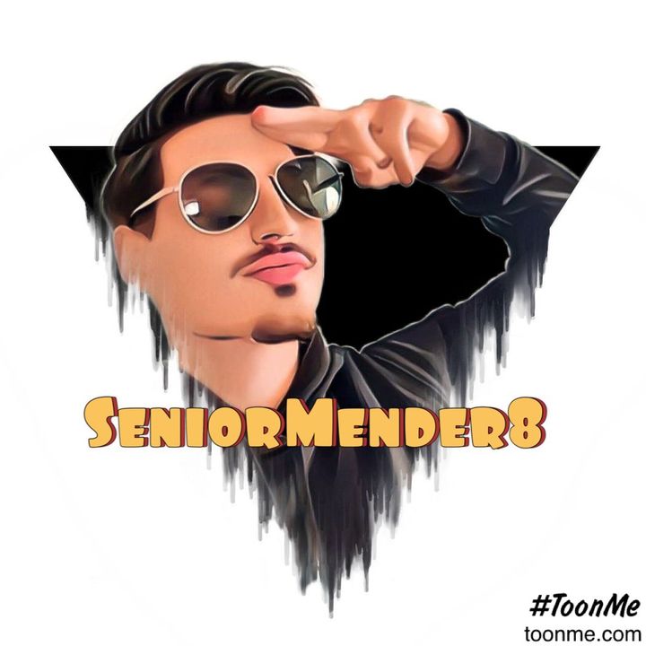 SeniorMender8 @seniormender8