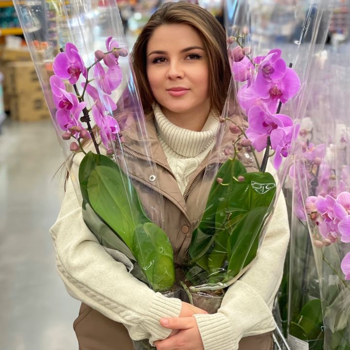 Orchids_master_ @orchids_master_