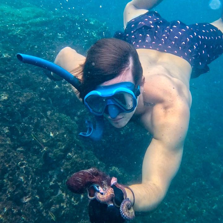Reefside Costa Rica @reefsidecr