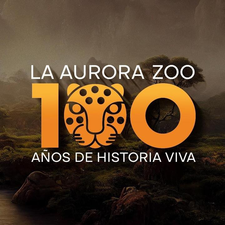 Zoo La Aurora @zoolaaurora