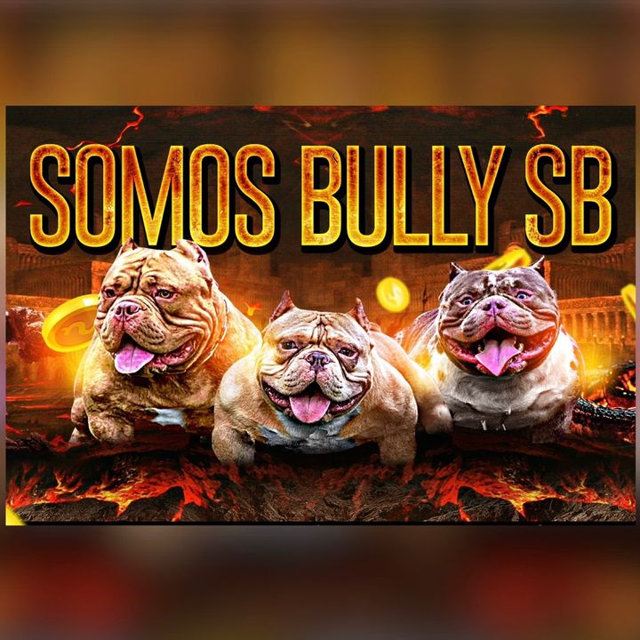 Somos bully SB @somosbullysb