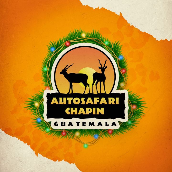 Auto Safari Chapin @autosafarichapin