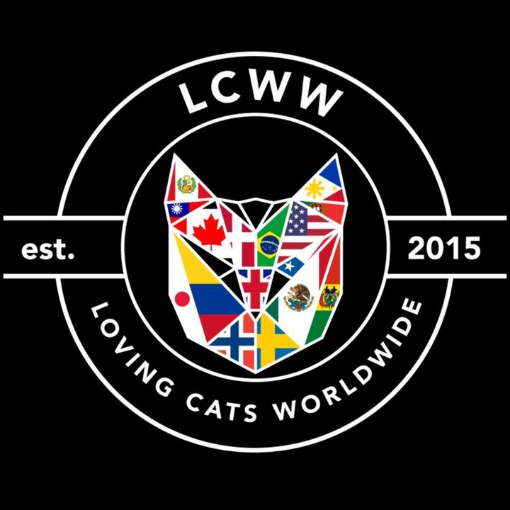 lovingcatsworldwidecats @lovingcatsworldwidecats