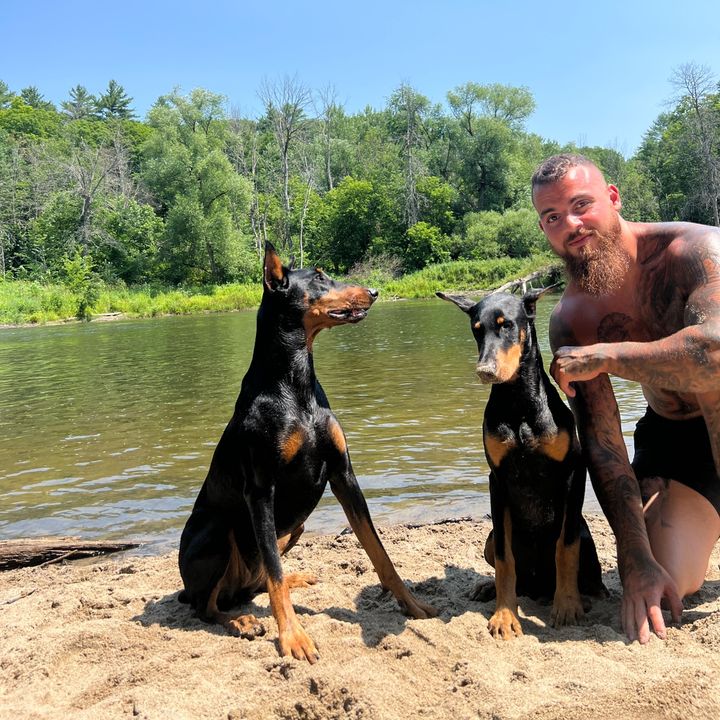 Nala&Kovu 🐕♥️ Doberman Gang @nala_dobbie