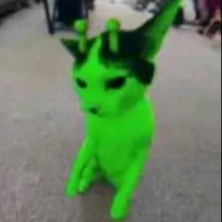 gato alien estupido 🗣️🔥 @yoshikage_kira_lindo