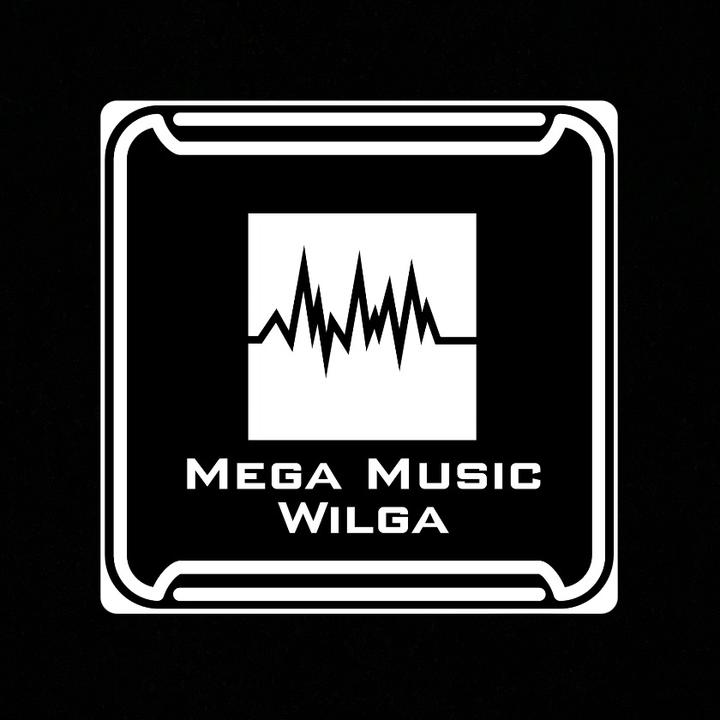 MegaMusicWilga @megamusicwilga
