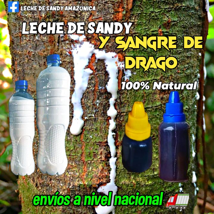 Leche de Sandy Amazónica 🇪🇨 @cura_la_gastritis_