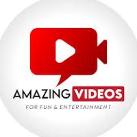Incredible Moments @amazing.videos.us