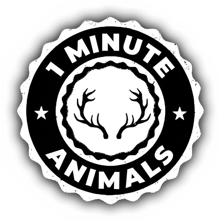 1 Minute Animals @1minuteanimals